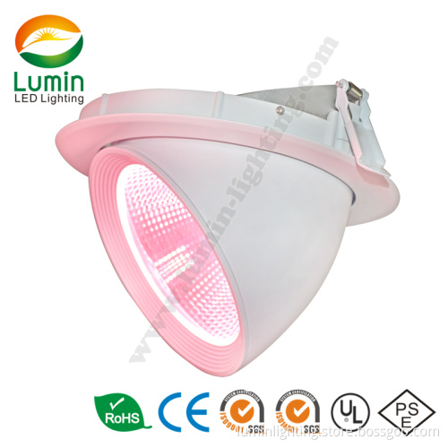 Cloth Store Rotatable 48W Sharp COB LED Downlight (LM-D1260-45)